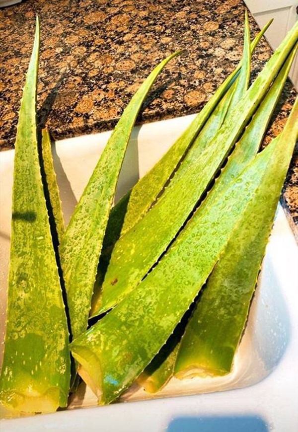 Sống trong biệt thự triệu đô, Phạm Hương vẫn tự tay hái cây nhà lá vườn làm đồ giải khát-3