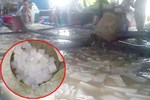 Hãi hùng chứng kiến công nghệ làm thạch dừa siêu bẩn: Thạch được ngâm trong bể nước đục ngầu, nhân viên thản nhiên nhổ nước bọt vào bể-8