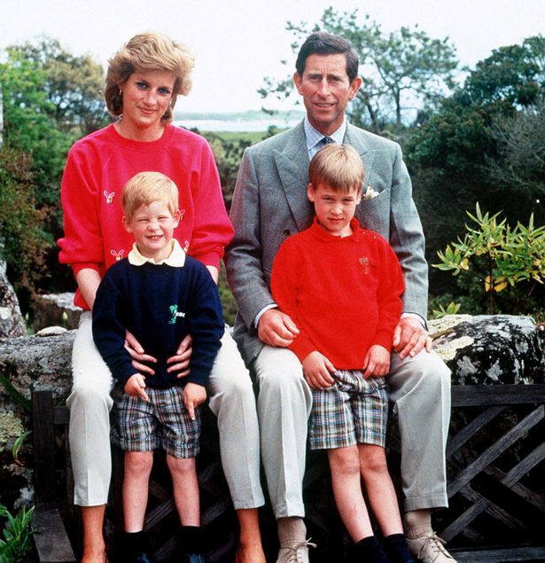 Cùng tưởng nhớ đến Công nương Diana, vợ chồng Hoàng tử William được khen ngợi là tinh tế trong khi nhà Meghan xấu hổ ê chề-3