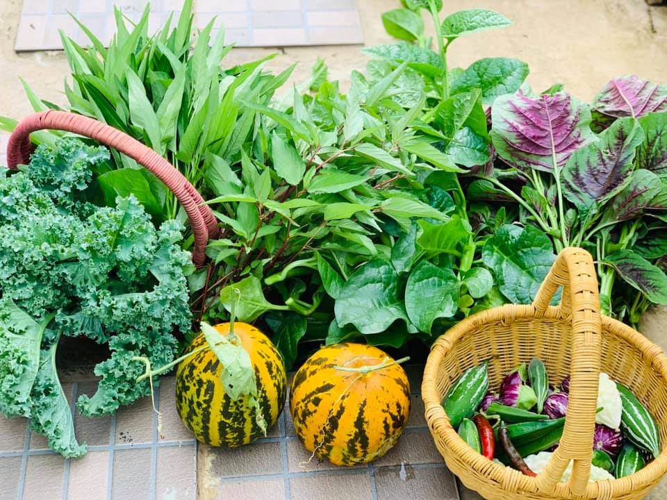 Ăn không xuể với khu vườn rau sạch trên mây của mẹ đảm Sơn La-17