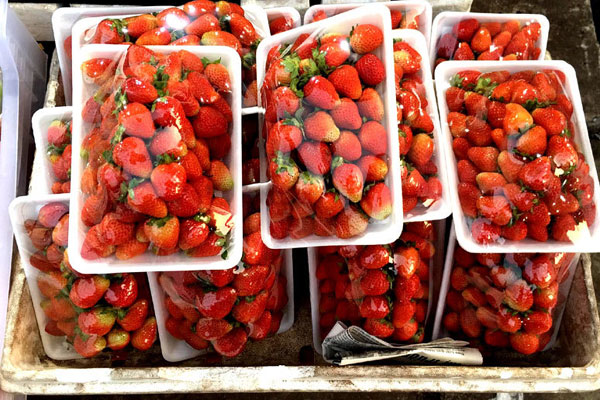 Kiwi Trung Quốc ngập tràn: Thay nhãn mác là đắt hàng-3