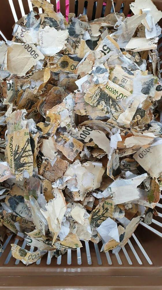 Người đàn ông làm nát tươm gần 450 triệu đồng vì quay tiền trong máy giặt để tiệt trùng-1