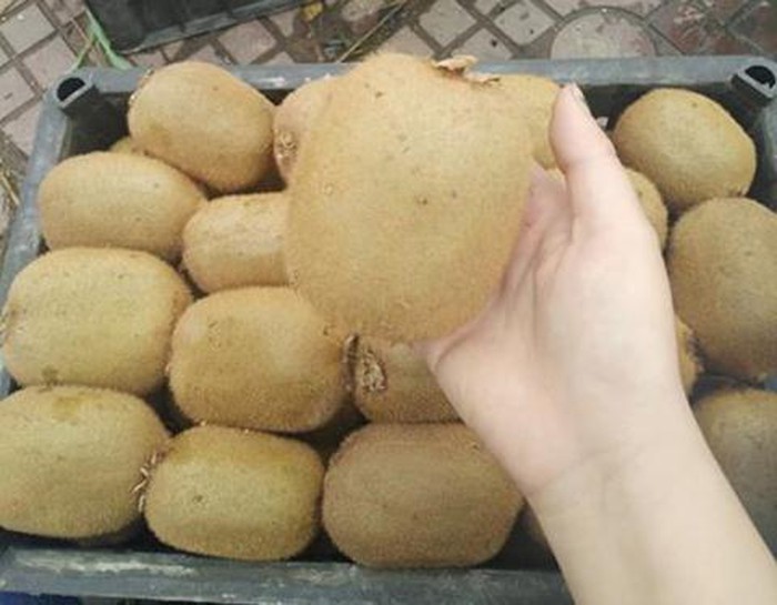 Kiwi Trung Quốc ngập tràn: Thay nhãn mác là đắt hàng-1