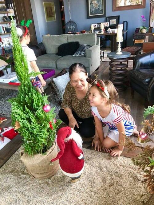 Hậu ly hôn chồng Tây Hồng Nhung tậu liên tiếp 2 căn nhà, mua hẳn đồi ở bên Mỹ-1