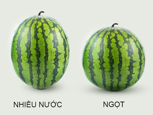 Từ A-Z cách chọn các loại trái cây mùa hè bách phát bách trúng trái nào cũng ngon-2