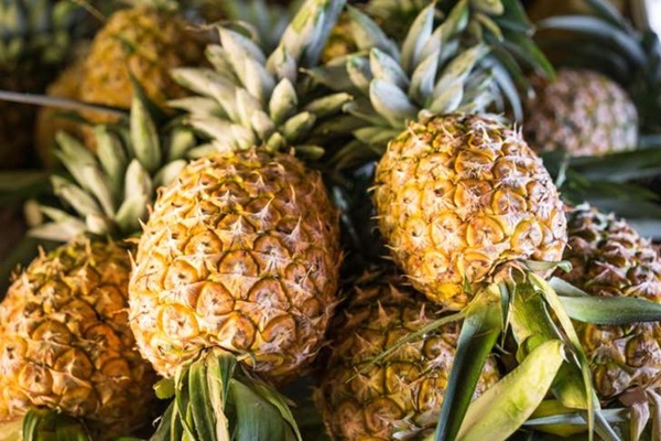 Từ A-Z cách chọn các loại trái cây mùa hè bách phát bách trúng trái nào cũng ngon-6