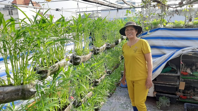 Hoa trái xum xuê, gà vịt đẻ trứng trên nông trại sân thượng nhà ở Sài Gòn-2