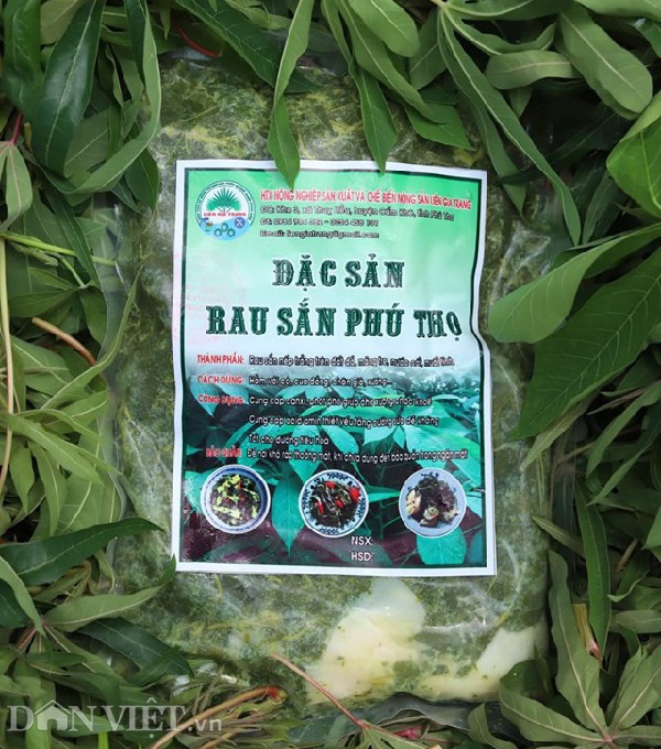 Rau nhà nghèo một thời ăn chống đói, nay là đặc sản, thu cả triệu đồng mỗi ngày-3