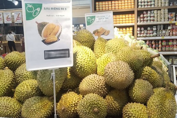 Cherry Mỹ, Canada giảm giá sập sàn, nhà nhập khẩu lo lỗ vốn-3