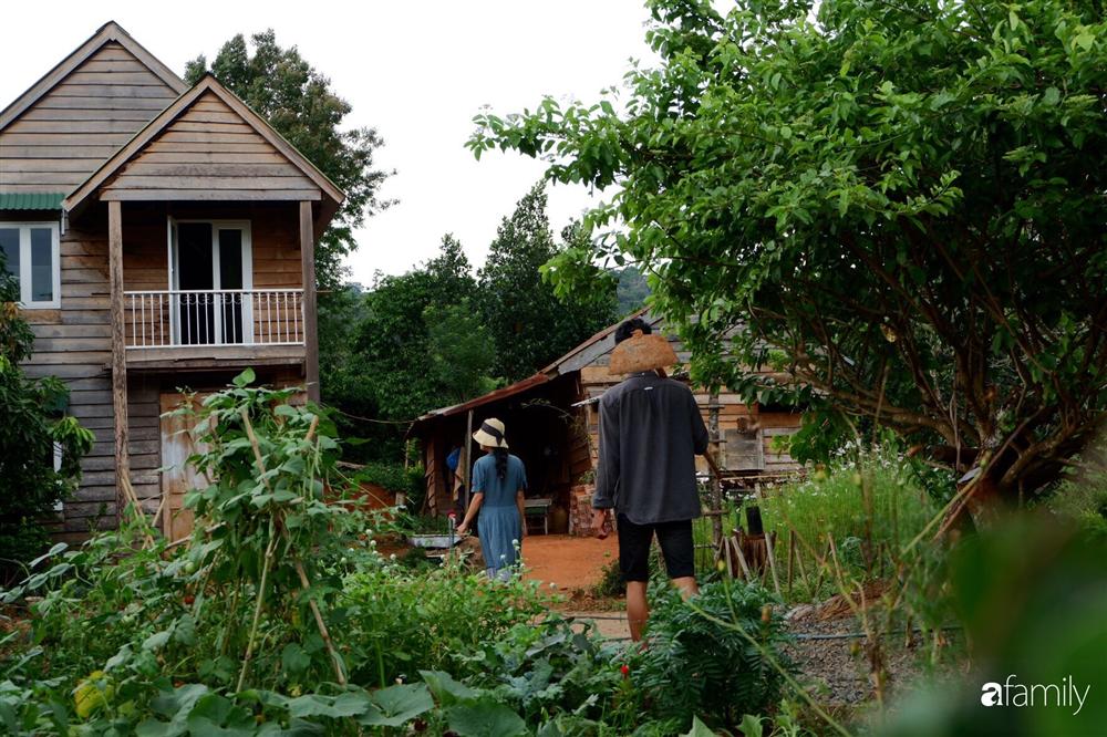 Khu vườn xanh tươi rộn ràng cây lá của cặp đôi quyết rời Sài Gòn tấp nập về núi rừng Tây Nguyên tìm chốn bình yên-3