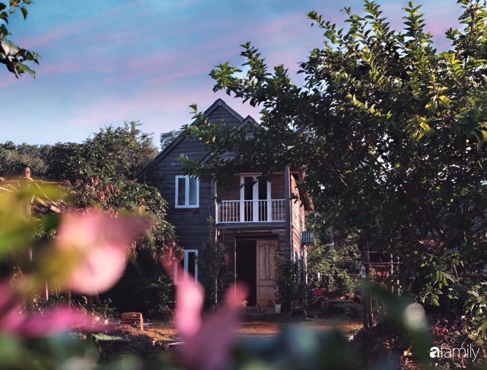 Khu vườn xanh tươi rộn ràng cây lá của cặp đôi quyết rời Sài Gòn tấp nập về núi rừng Tây Nguyên tìm chốn bình yên-6