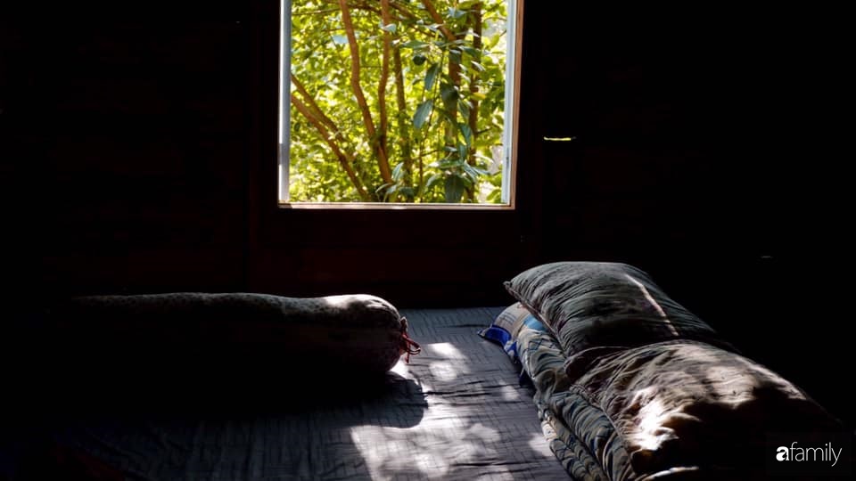 Khu vườn xanh tươi rộn ràng cây lá của cặp đôi quyết rời Sài Gòn tấp nập về núi rừng Tây Nguyên tìm chốn bình yên-7