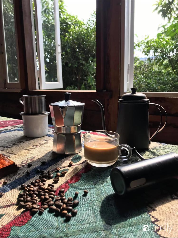 Khu vườn xanh tươi rộn ràng cây lá của cặp đôi quyết rời Sài Gòn tấp nập về núi rừng Tây Nguyên tìm chốn bình yên-9