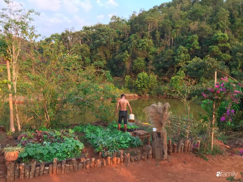 Khu vườn xanh tươi rộn ràng cây lá của cặp đôi quyết rời Sài Gòn tấp nập về núi rừng Tây Nguyên tìm chốn bình yên-19