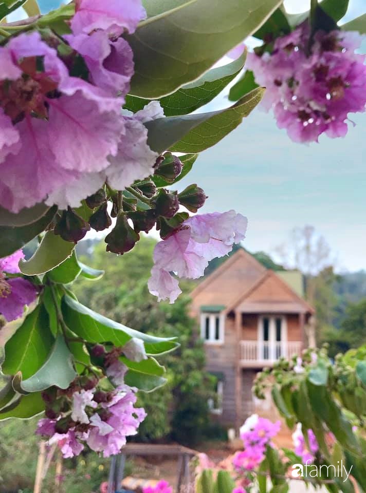 Khu vườn xanh tươi rộn ràng cây lá của cặp đôi quyết rời Sài Gòn tấp nập về núi rừng Tây Nguyên tìm chốn bình yên-22