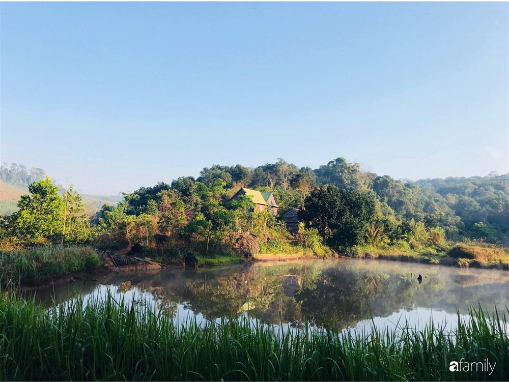 Khu vườn xanh tươi rộn ràng cây lá của cặp đôi quyết rời Sài Gòn tấp nập về núi rừng Tây Nguyên tìm chốn bình yên-33