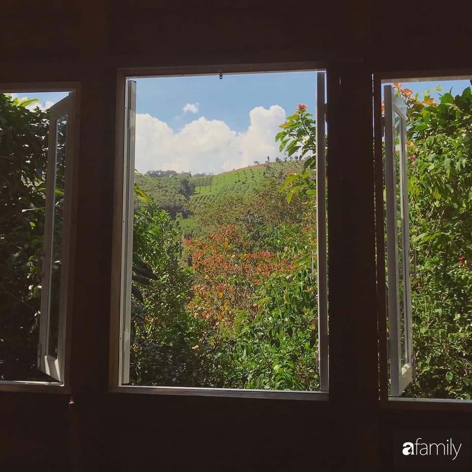 Khu vườn xanh tươi rộn ràng cây lá của cặp đôi quyết rời Sài Gòn tấp nập về núi rừng Tây Nguyên tìm chốn bình yên-35