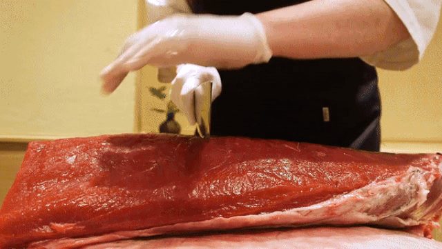 Sự thật tàn khốc đằng sau miếng sushi cá ngừ đắt giá-5
