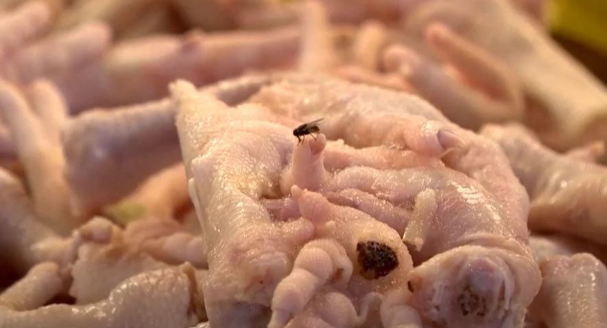 Phá tổng kho 19 tấn chân gà, giò heo bốc mùi hôi thối-2