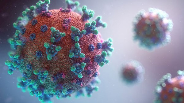 6 nhóm của virus SARS-CoV-2: Đợt dịch mới tại Việt Nam thuộc nhóm phổ biến nhất!-1