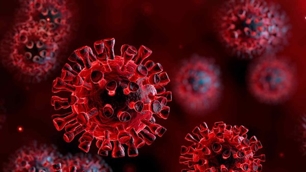 6 nhóm của virus SARS-CoV-2: Đợt dịch mới tại Việt Nam thuộc nhóm phổ biến nhất!-3
