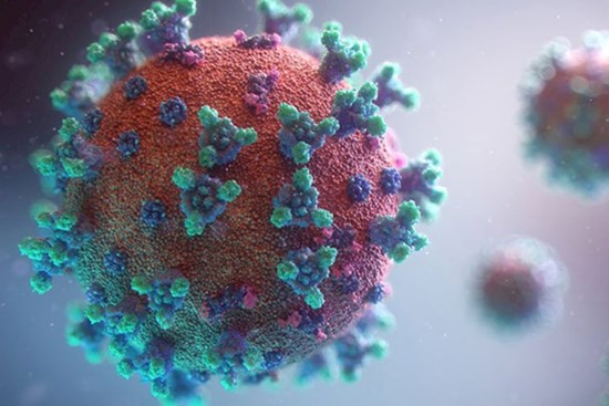 6 nhóm của virus SARS-CoV-2: Đợt dịch mới tại Việt Nam thuộc nhóm phổ biến nhất!