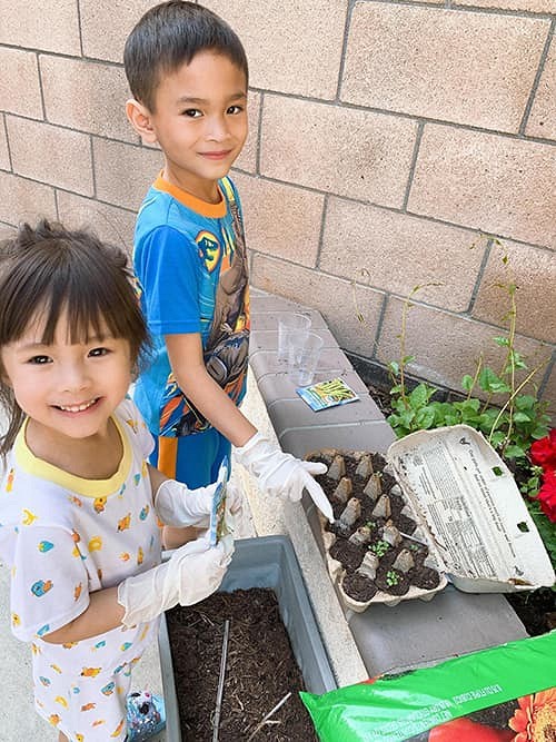 Tránh dịch tại gia, Thanh Thảo cùng các con chăm vườn, nhìn thành quả dân tình phải trầm trồ: Đã quá-2