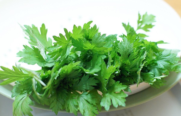 Bà bầu không nên ăn 7 loại rau này: Loại rau thứ 3 đứng đầu danh sách nguy hiểm nhất-2