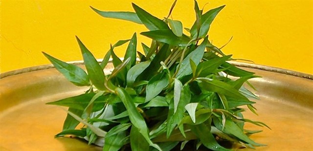 Bà bầu không nên ăn 7 loại rau này: Loại rau thứ 3 đứng đầu danh sách nguy hiểm nhất-5