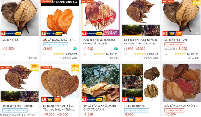 Lạ đời combo dụng cụ ăn xin được rao bán với giá cao không tưởng-5