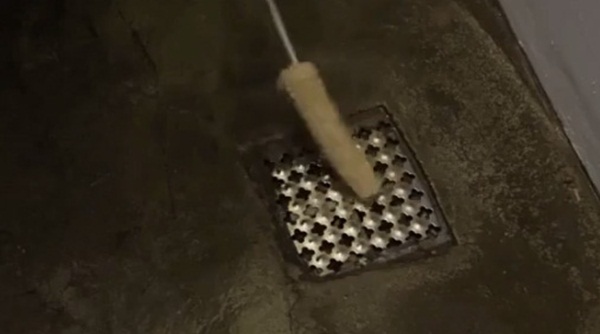 Lõi ngô là thứ vứt đi nhưng lại trở thành bảo bối trong phòng tắm nếu làm theo cách này-5