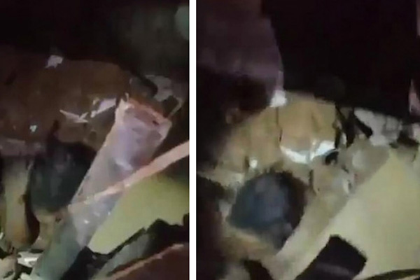 Bị xe tải ‘nuốt chửng’, người phụ nữ đi xe điện thoát chết kỳ diệu-1