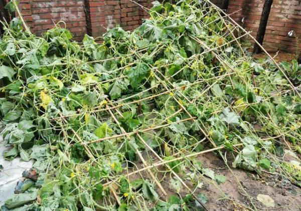 Tạ Đình Phong bị chỉ trích quá cạn tình khi có động thái này trong sinh nhật 13 tuổi của con trai cả-3