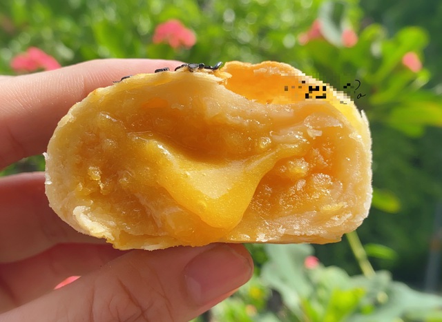 Sợ bánh Trung Quốc, chị em bỏ tiền học làm bánh trung thu trứng chảy-7