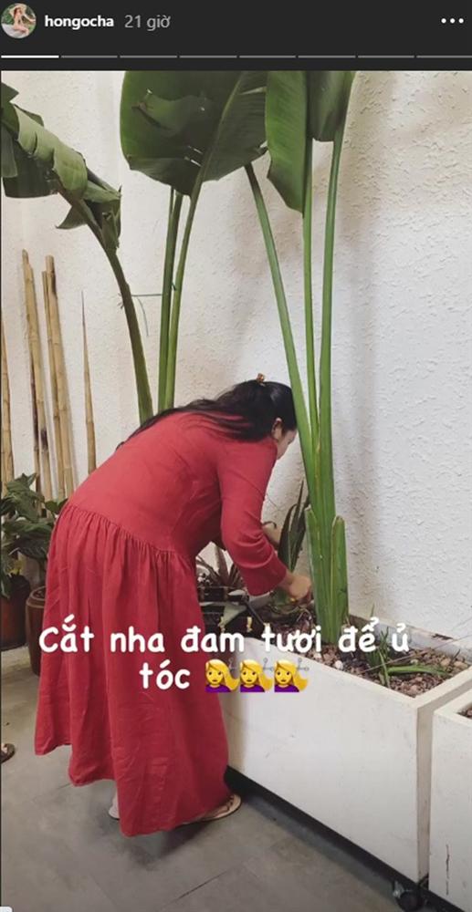 Học Hồ Ngọc Hà ủ tóc với nguyên liệu rẻ tiền, vừa dễ kiếm vừa chăm tóc đẹp đỉnh cao-8