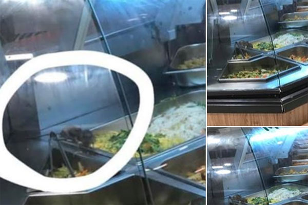 Aeon Mall phản hồi về vụ chuột bò trên khay thức ăn khu ẩm thực-2