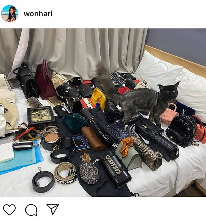 Hari Won trải túi hiệu lấp đầy giường, khoe sương sương” gia tài tiền tỷ-1