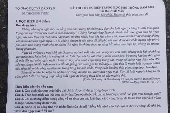 Đề môn Ngữ văn kỳ thi tốt nghiệp THPT 2020