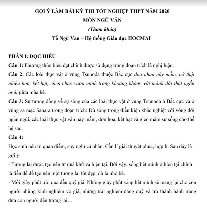 Gợi ý đáp án môn Ngữ văn kỳ thi tốt nghiệp THPT 2020-1