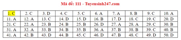 Đáp án đề thi tốt nghiệp THPT Quốc gia 2020 môn Toán (tất cả mã đề)-11