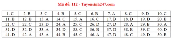 Đáp án đề thi tốt nghiệp THPT Quốc gia 2020 môn Toán (tất cả mã đề)-12