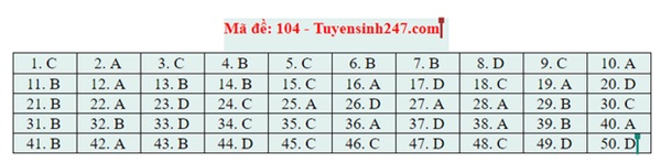 Đáp án đề thi tốt nghiệp THPT Quốc gia 2020 môn Toán (tất cả mã đề)-4