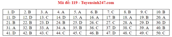 Đáp án đề thi tốt nghiệp THPT Quốc gia 2020 môn Toán (tất cả mã đề)-19