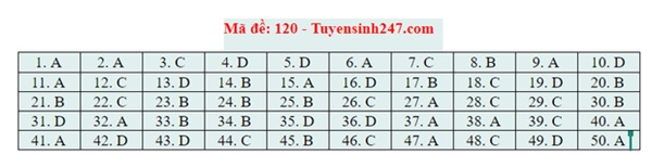 Đáp án đề thi tốt nghiệp THPT Quốc gia 2020 môn Toán (tất cả mã đề)-20