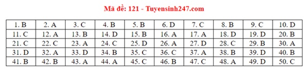 Đáp án đề thi tốt nghiệp THPT Quốc gia 2020 môn Toán (tất cả mã đề)-21