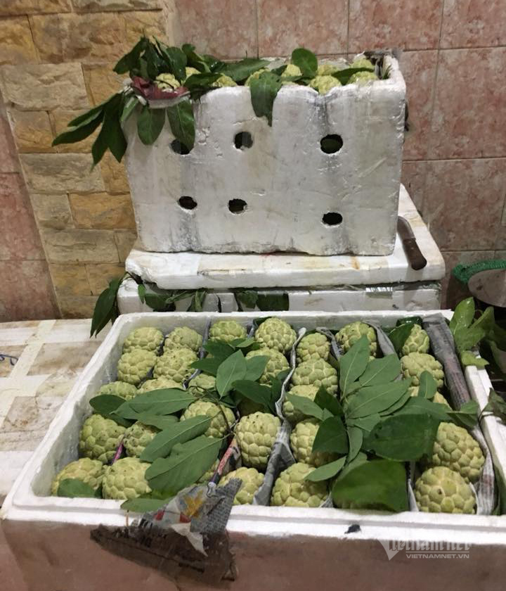 Đặc sản núi đá Xứ Lạng về Hà Nội, giá đắt gấp đôi vẫn đắt hàng-2