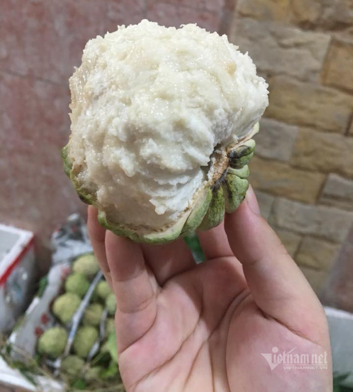 Đặc sản núi đá Xứ Lạng về Hà Nội, giá đắt gấp đôi vẫn đắt hàng-3