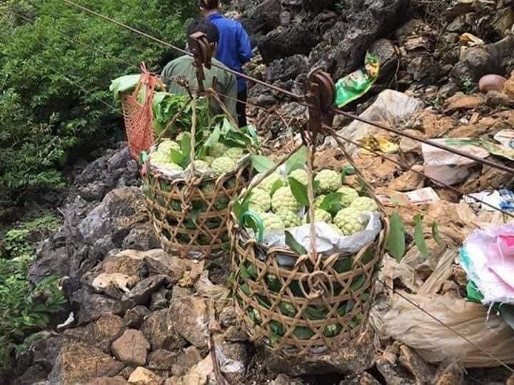 Đặc sản núi đá Xứ Lạng về Hà Nội, giá đắt gấp đôi vẫn đắt hàng-6