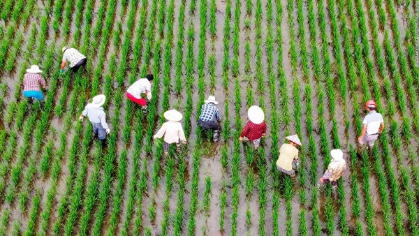 Lũ dâng làm vỡ bờ hồ lớn nhất Trung Quốc, nông dân trắng tay-2