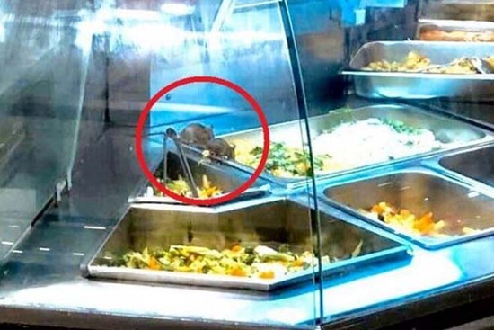 Aeon Mall phản hồi về vụ chuột bò trên khay thức ăn khu ẩm thực